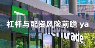 杠杆与配资风险前瞻 ya