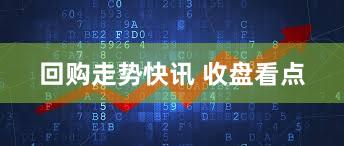 回购走势快讯 收盘看点