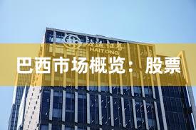 巴西市场概览：股票